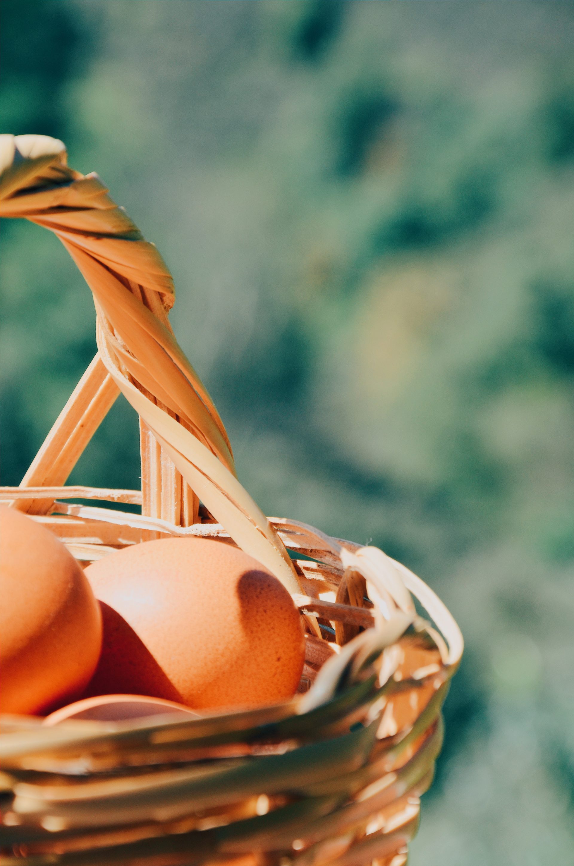 PUTTING ALL YOUR EGGS IN ONE BASKET A QUESTION OF MORALITY OR WISDOM